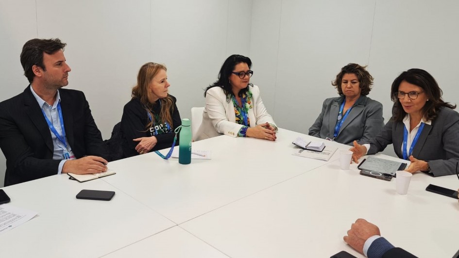 Imagem de uma mesa de reunião em que são vistas 5 pessoas, entre elas a secretária Marjorie.