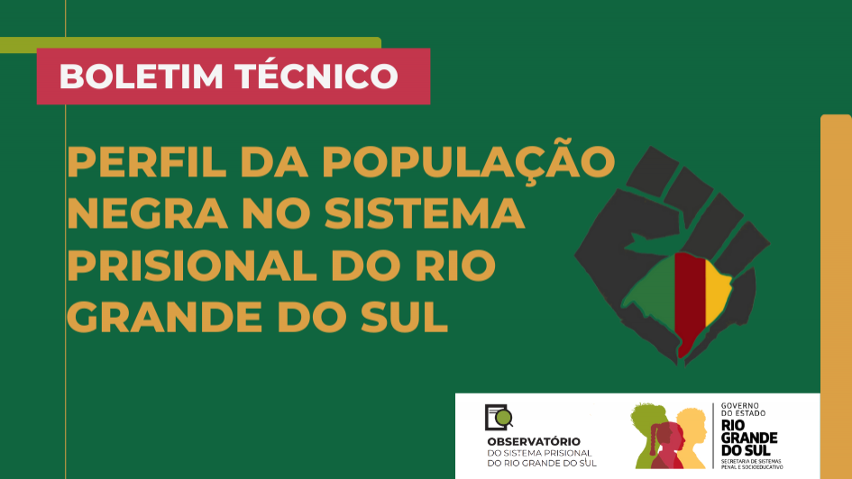 Perfil DA POPULAÇÃO NEGRA NO SISTEMA PRISIONAL Do Rio Grande do Sul