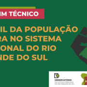 Perfil DA POPULAÇÃO NEGRA NO SISTEMA PRISIONAL Do Rio Grande do Sul