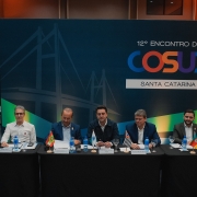 Os sete governadores sentados à mesa de reuniões, diante de um grande painel do décimo segundo Cosud.