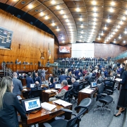 PORTO ALEGRE - RS - BRASIL. 10/12/2024.  Sessão Plenária Extraordinária, ordem do dia. Foto Fernando Gomes/ALRS