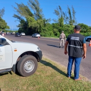 Secretaria da Agricultura monitora transporte de cargas nas estradas do litoral