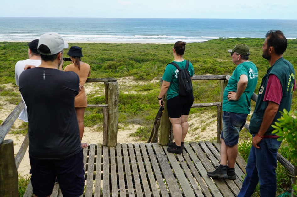 O mirante é um dos pontos mais visitados na trilha no Morro de Itapeva -Foto: Ascom Sema