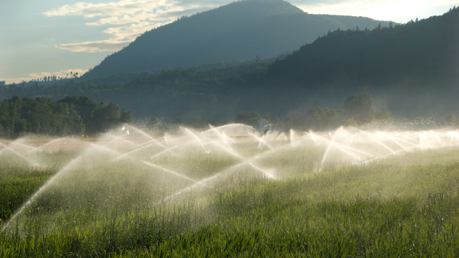 Projetos de irrigação para lavouras contra a estiagem 