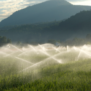 Projetos de irrigação para lavouras contra a estiagem 