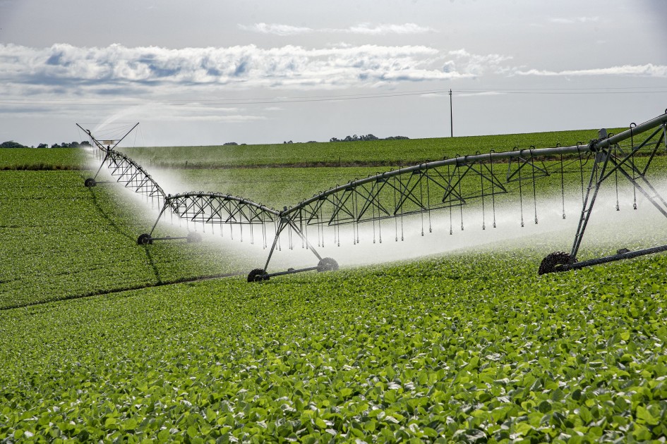 Projetos de irrigação para lavouras contra a estiagem 