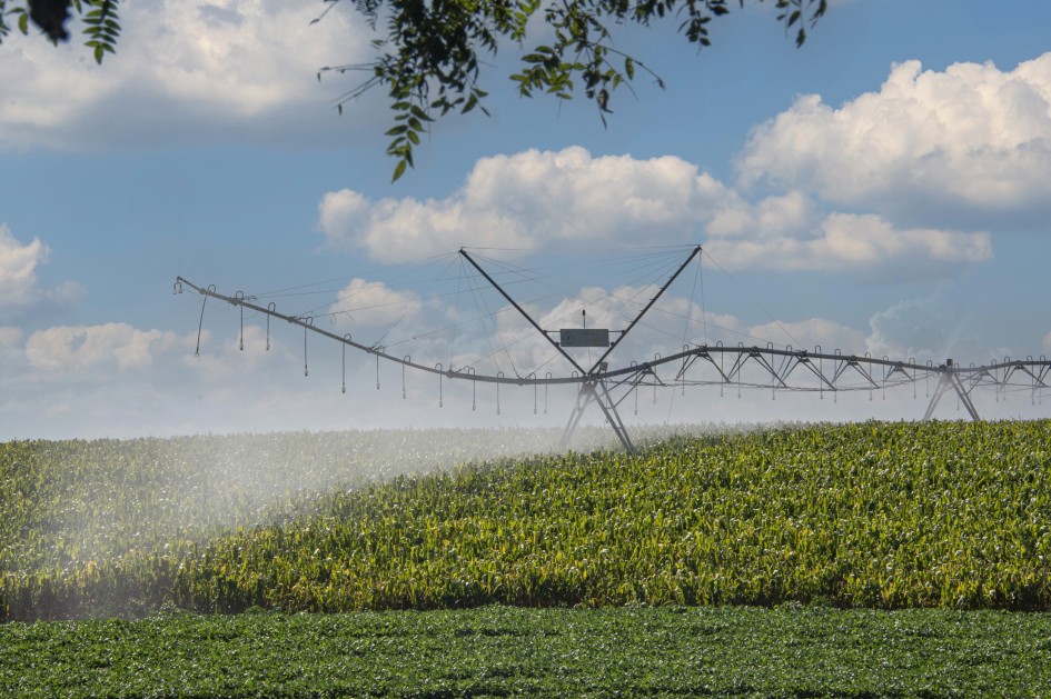 Projetos de irrigação para lavouras contra a estiagem 