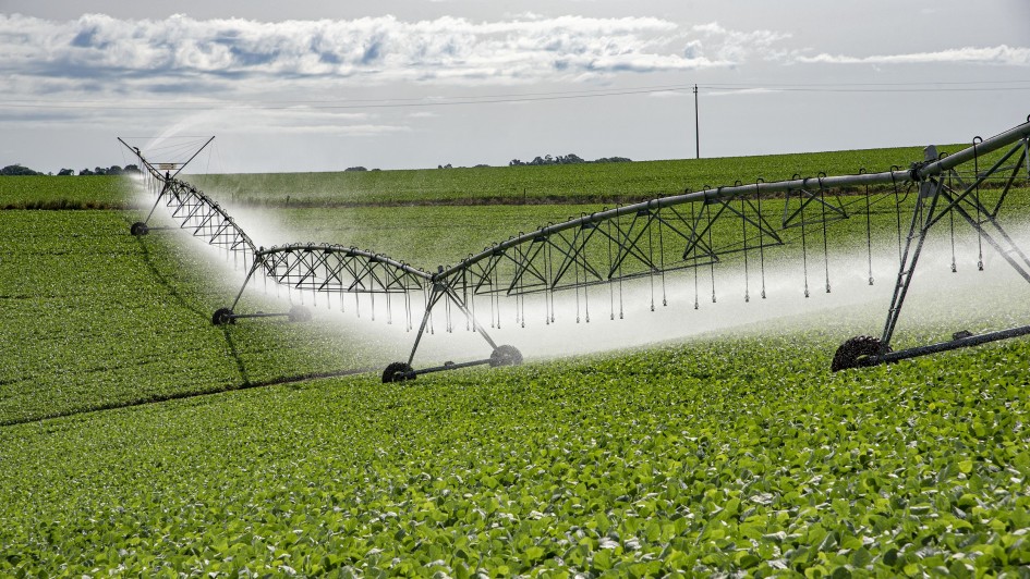 Projetos de irrigação 