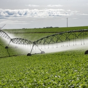 Projetos de irrigação 