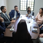 Leite intensifica articulações em Brasília por medidas em apoio ao agro gaúcho