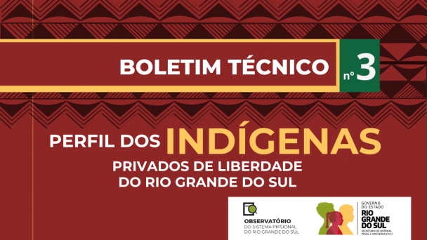 Perfil DA POPULAÇÃO INDÍGENA NO SISTEMA PRISIONAL Do Rio Grande do Sul