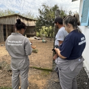 A foto mostra dois fiscais agropecuários inspecionam uma propriedade rural. Um homem observa a fiscalização em frente a um galinheiro rústico.