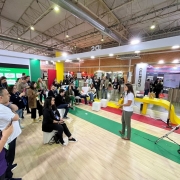 Há dezenas de pessoas, algumas sentadas e a maioria de pé, escutando uma palestrante. Ela segura um microfone. O chão tem cor clara e partes em verde, vermelho e amarelo. Ao fundo há um painel de apresentação.