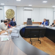 A imagem mostra o vice-governador Gabriel Souza em uma reunião oficial em Brasília, em uma sala de conferências com mesa oval, bandeiras do Brasil e do Rio Grande do Sul ao fundo e o brasão da República na parede. A cena reflete um ambiente institucional, onde Gabriel articula apoio para a construção de pontes internacionais entre o RS e a Argentina.