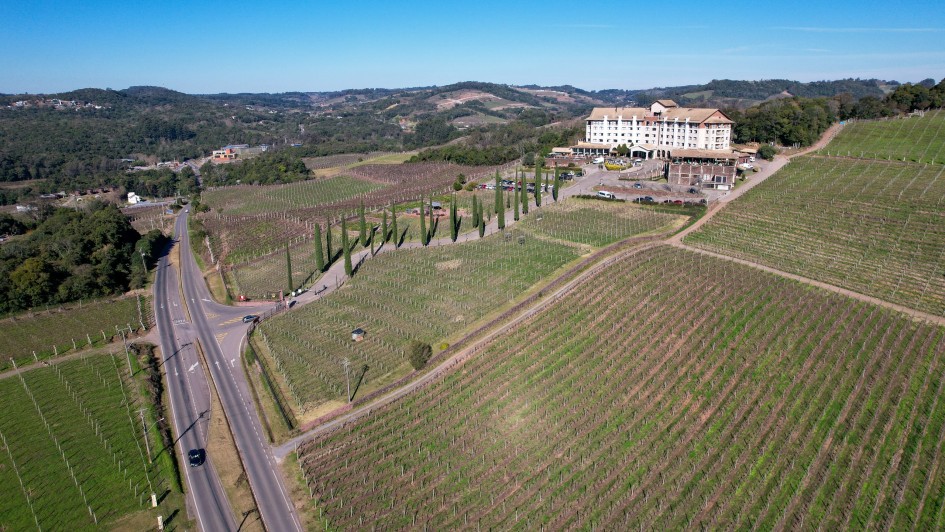 Vale dos Vinhedos
