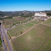Vale dos Vinhedos