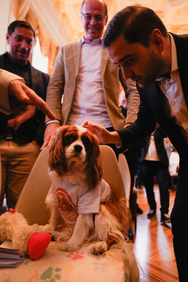 A foto, tirada em um ângulo de baixo para cima, mostra o governador em exercício, Gabriel Souza, com uma barba, agachado e acariciando a cabeça de um cão de raça Cavalier King Charles Spaniel, de pelagem branca e caramelo. O cão, que veste uma camiseta branca com um desenho, está sentado em uma cadeira. À esquerda, as mãos de duas pessoas, uma delas do vice-governador Gabriel Souza, estão estendidas na direção do cão. No fundo, homens em trajes formais sorriem. A cena acontece em um salão com piso de madeira e teto alto, com iluminação amarela.