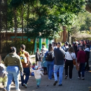 A imagem mostra um grupo grande de pessoas caminhando por um caminho pavimentado dentro de um zoológico ou parque natural. À esquerda, há uma cerca de tela com um recinto de animais, onde algumas pessoas — incluindo uma mulher com cabelo cacheado e blusa preta — estão apontando, possivelmente mostrando um animal para as crianças.

O local é arborizado, com sombra de árvores projetada no chão. Entre os visitantes, há adultos e crianças, muitas com mochilas e roupas casuais. Um menino pequeno, de boné colorido, segura a mão de um adulto enquanto caminha. Ao fundo, o caminho continua e está bastante movimentado, indicando grande fluxo de visitantes no local. O clima parece agradável e ensolarado.