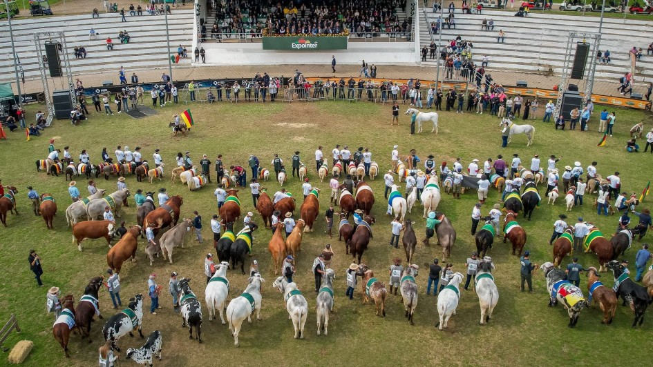 Foto aérea de uma arena durante a Expointer, tradicional feira agropecuária do Rio Grande do Sul. A imagem mostra dezenas de animais — principalmente bois, vacas, cavalos e pôneis — organizados em fileiras, acompanhados de seus tratadores, muitos vestidos com roupas típicas gaúchas. Os animais usam faixas e mantas coloridas, indicando premiações ou identificação. Ao fundo, há arquibancadas com algumas pessoas sentadas e uma plateia maior concentrada ao centro. No topo da arquibancada principal, há uma faixa com o nome “Expointer”. Ao redor da arena, há espectadores e estruturas de apoio. A imagem transmite o clima de julgamento ou desfile de animais em um evento rural tradicional.