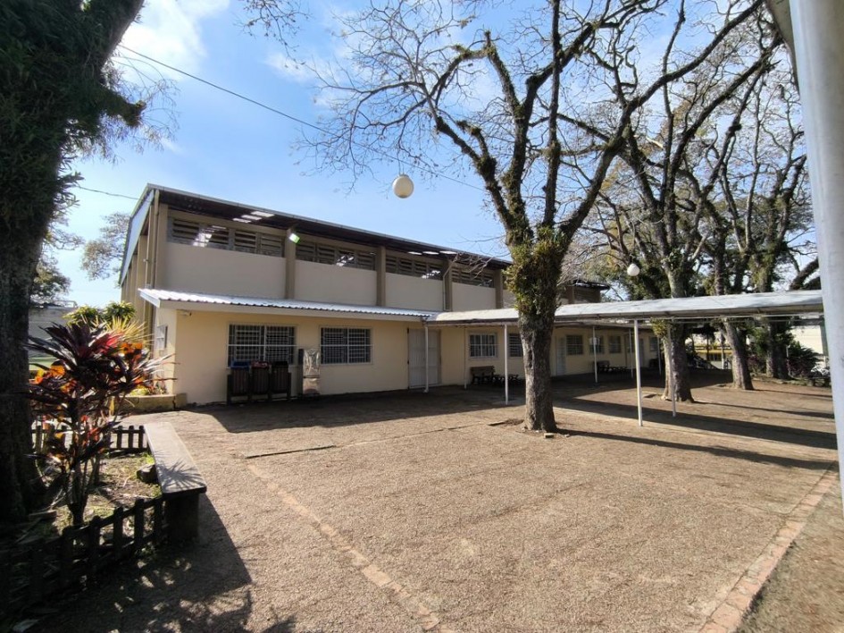 A foto mostra o pátio de uma escola em um dia ensolarado. O pátio é pavimentado com um piso de cascalho e tem um grande gramado. No centro, grandes árvores sem folhas, com troncos escuros e musgo, projetam sombras no chão. No fundo, há um prédio de dois andares com teto inclinado e grandes janelas com grades. Em primeiro plano, um banco de madeira e um pequeno jardim com plantas vermelhas estão visíveis.