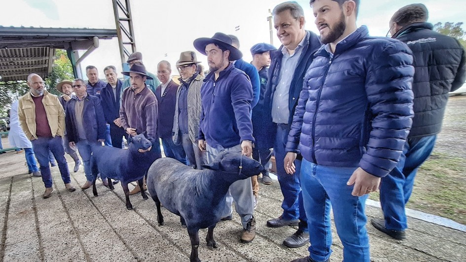 A foto mostra um grupo de homens posando para uma foto em um ambiente rural, possivelmente uma feira agropecuária ou exposição de animais. Eles estão em pé em fila atrás de dois carneiros de pelagem escura, que estão sendo segurados por dois dos homens. A maioria dos homens está usando roupas de frio, como jaquetas, paletós, e chapéus, indicando que o clima está frio. O ambiente ao fundo sugere uma estrutura coberta com telhado metálico e pilares, típica de locais de exposições rurais. A atmosfera é de confraternização e avaliação dos animais.