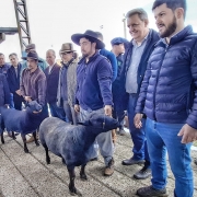 A foto mostra um grupo de homens posando para uma foto em um ambiente rural, possivelmente uma feira agropecuária ou exposição de animais. Eles estão em pé em fila atrás de dois carneiros de pelagem escura, que estão sendo segurados por dois dos homens. A maioria dos homens está usando roupas de frio, como jaquetas, paletós, e chapéus, indicando que o clima está frio. O ambiente ao fundo sugere uma estrutura coberta com telhado metálico e pilares, típica de locais de exposições rurais. A atmosfera é de confraternização e avaliação dos animais.