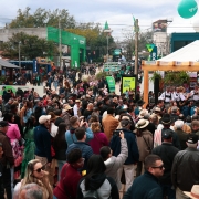Esta imagem retrata uma cena animada na Expointer, exibindo uma grande multidão reunida em torno de um palco onde músicos, vestidos com trajes típicos, se apresentam. Um balão verde com um logo flutua no céu, adicionando um toque festivo. A grande quantidade de pessoas, muitas usando chapéus característicos, ressalta o sucesso do evento como um centro cultural e de entretenimento, que provavelmente celebra as tradições gaúchas e atrai um público significativo.