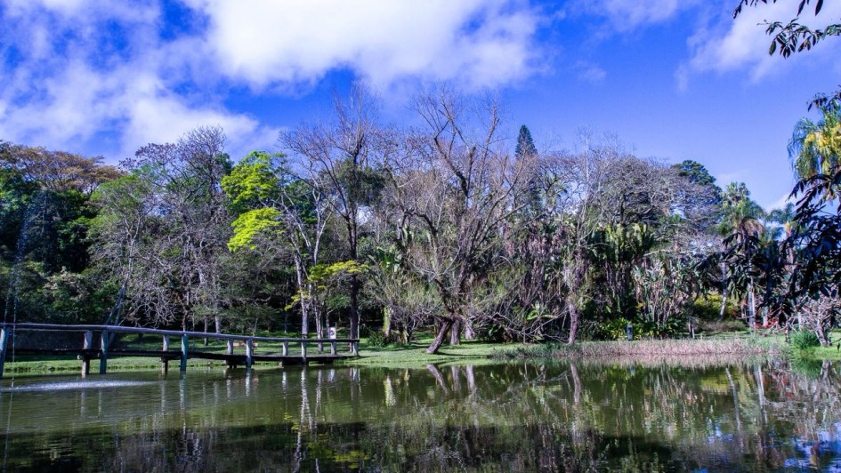 A imagem mostra uma paisagem natural com um lago em primeiro plano, refletindo as árvores e o céu. Há uma ponte de madeira atravessando o lago da esquerda para o centro da imagem. O fundo é composto por uma grande variedade de árvores, algumas com folhas verdes vibrantes e outras aparentando estar secas ou em período de queda de folhas, sugerindo uma transição de estação. O céu está parcialmente nublado, com nuvens brancas espalhadas sobre um fundo azul intenso. À direita, há vegetação mais densa, incluindo palmeiras. A imagem transmite tranquilidade e beleza natural.