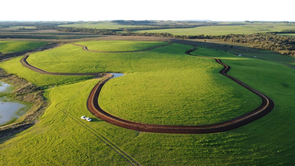 Imagem aérea de um campo verde,.