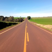Descrição para fins de acessibilidade: Fotografia de uma estrada asfaltada em linha reta, com duas faixas e marcações amarelas no centro e nas laterais. A via atravessa uma paisagem rural, com plantações verdes à direita e árvores mais altas à esquerda. Ao fundo, a estrada segue em direção ao horizonte, sob um céu azul claro sem nuvens.