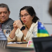 Fotografia de uma mulher e um homem sentados à mesa durante uma reunião formal. A mulher está falando em um microfone de mão, com expressão séria e atenta. Ela tem cabelo castanho escuro, ondulado e curto, usa óculos de grau, blazer claro e um relógio preto no pulso esquerdo. À sua frente há uma taça com água, um celular e alguns papéis. O homem ao lado esquerdo dela observa atentamente, vestindo um terno escuro e gravata. No primeiro plano, parcialmente desfocados, aparecem bandeiras (uma delas com as cores da bandeira do Brasil) e o ombro de outra pessoa. Ao fundo, o ambiente parece ser uma sala de conferências ou auditório, com iluminação clara e neutra.