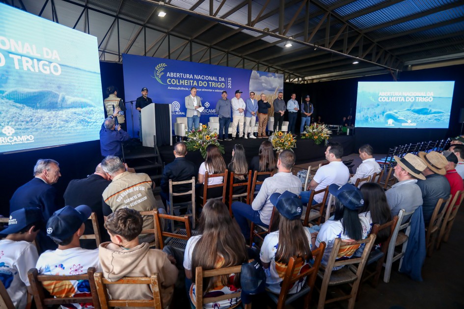Vista ampla de auditório coberto com público sentado e autoridades em pé no palco. O vice-governador Gabriel Souza está no púlpito ao microfone. Dois grandes painéis exibem a identidade visual do evento “Abertura Nacional da Colheita do Trigo 2025”.