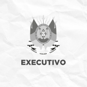 Executivo