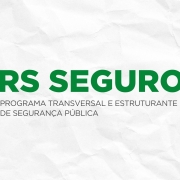 RS Seguro