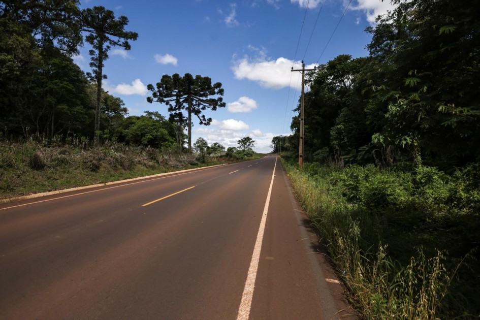 Imagem de uma estrada asfaltada cercada por vegetação e árvores altas. O céu está limpo, com poucas nuvens, e há postes e fios elétricos acompanhando a via.