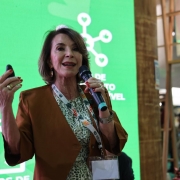 Secretária ressaltou a importância de se qualificar a juventude para atuar em setores estratégicos   nov25