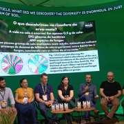 Uma foto de uma obra de pavimentação asfáltica em uma estrada rural (rodovia entre Carazinho e Chapada). A imagem mostra o terreno acidentado com terra vermelha brilhante ocupando a maior parte do primeiro plano, indicando um extenso trabalho de terraplanagem.

No centro da estrada, uma motoniveladora ou patrol amarela está parada, de frente para o fundo da imagem. A estrada, ainda de terra, foi recentemente nivelada e se estende em linha reta até o horizonte em uma subida suave.

Os canteiros laterais são compostos por taludes altos e inclinados de terra vermelha intensa. Ao longe, no topo da colina, é possível ver um carro branco. A paisagem de fundo, no horizonte, é composta por campos agrícolas (um campo amarelo-claro de plantação colhida à esquerda e um campo verde de plantação à direita) sob um céu azul-claro com nuvens brancas e dispersas.