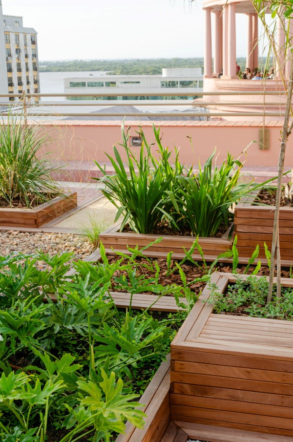 Foto mostra proteção guarda-corpo no jardim sensorial da Casa de Cultura