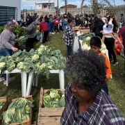 Foto mostra pessoas em feira de produtos da agricultura famiiar