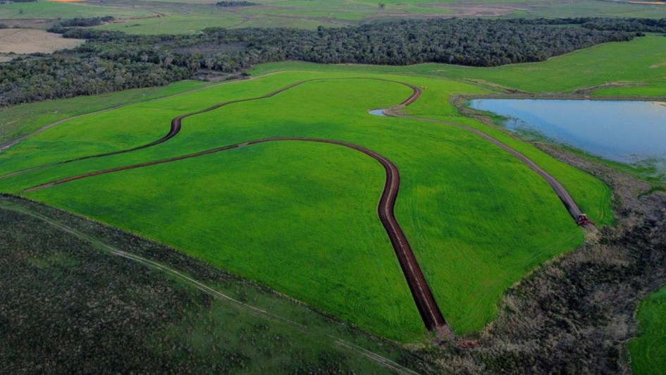 A imagem é uma fotografia aérea (drone) de uma paisagem rural que mostra uma área de cultivo e conservação em um campo aberto.

Elementos da Cena:
Primeiro e Plano Central: Dominado por um grande campo agrícola de cor verde vibrante e homogênea, indicando uma plantação saudável, provavelmente de pastagem ou grãos de ciclo inicial.

Curvas de Nível/Estradas: Cortando o campo verde, há faixas de terra escura, marrom-avermelhada, que seguem o contorno do terreno (curvas de nível), possivelmente sendo caminhos, canais de escoamento ou faixas de solo recém-trabalhado para combate à erosão. Essas faixas formam padrões orgânicos e sinuosos.

Corpo d'Água (Superior Direito): Há um pequeno açude ou lago com água de cor azul-escura/cinzenta, refletindo o céu. O corpo d'água faz limite com o campo cultivado.

Mata (Fundo): No horizonte, a área é delimitada por uma densa faixa de mata nativa (floresta) de cor verde-escura, que se estende por toda a parte superior da imagem.

Terra no Contorno: Na parte inferior da foto e ao redor da borda da mata, há áreas de vegetação rasteira ou pastagem mais seca de cor verde-oliva e marrom.

Conclusão Visual:
A foto oferece uma vista de cima de uma propriedade rural (intitulada "Terra Forte"), destacando a aplicação de técnicas agrícolas que respeitam a topografia (curvas de nível) e a proximidade com recursos naturais como a floresta e um açude.