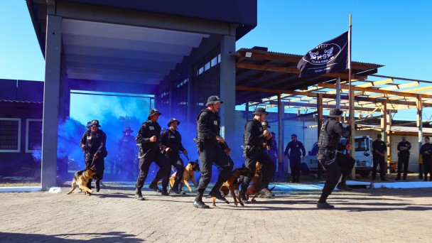 A imagem mostra policiais penais fardados em movimento com cães de serviço. Eles estão ao ar livre embaixo de uma estrutura vazada. 