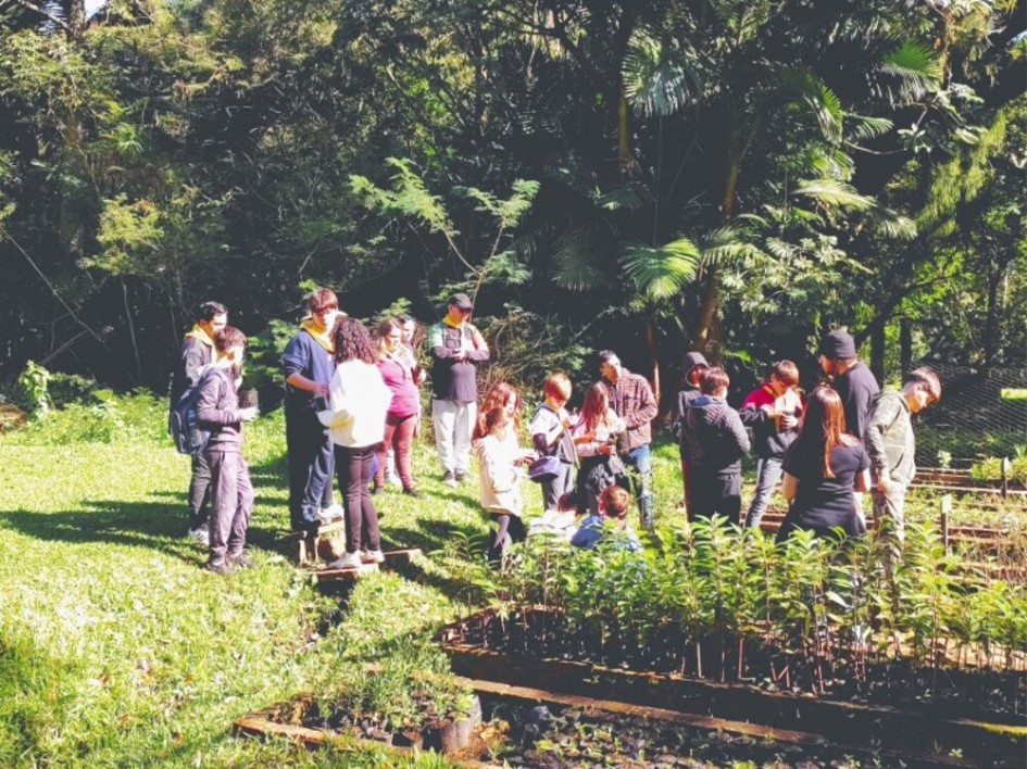Unidade possui seu próprio viveiro onde produz mudas nativas -Foto: Ascom Sema/Arquivo Arie-LN