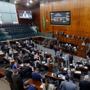 Uma fotografia panor&acirc;mica, tirada de um &acirc;ngulo superior e ligeiramente lateral, que mostra o interior de um Plen&aacute;rio da Assembleia Legislativa em sess&atilde;o.

O ambiente &eacute; amplo, com paredes e pain&eacute;is de madeira escura que revestem a maior parte das superf&iacute;cies verticais.

Centro e Base da Imagem: A &aacute;rea principal &eacute; ocupada pelas mesas e cadeiras (curules) dos deputados. H&aacute; uma grande movimenta&ccedil;&atilde;o, com muitos deputados e assessores em p&eacute; ou sentados, conversando e manuseando documentos ou laptops que est&atilde;o dispostos nas mesas de madeira escura.

Fundo da Imagem: Ao fundo, est&aacute; a Mesa Diretora, elevada em rela&ccedil;&atilde;o ao Plen&aacute;rio, com diversos membros sentados em cadeiras de encosto alto.

Telas: Duas telas grandes s&atilde;o vis&iacute;veis na parede de madeira. A tela &agrave; direita exibe uma lista de projetos ou vota&ccedil;&atilde;o, enquanto a tela &agrave; esquerda mostra a imagem de um orador.

Tribunas e Arquibancadas: &Agrave; esquerda, h&aacute; uma arquibancada com assentos pretos, onde algumas pessoas est&atilde;o sentadas e outras est&atilde;o em p&eacute;. Uma pessoa na parte superior segura uma faixa branca com letras vermelhas que diz "DESPES FICA!".

Decora&ccedil;&atilde;o: Na parede de madeira &agrave; direita, h&aacute; uma est&aacute;tua ou painel escultural de grandes dimens&otilde;es. A ilumina&ccedil;&atilde;o &eacute; forte, vinda de cima.

A cena sugere um momento de intensa atividade legislativa, provavelmente uma vota&ccedil;&atilde;o ou debate, dada a movimenta&ccedil;&atilde;o e a exibi&ccedil;&atilde;o de informa&ccedil;&otilde;es nas telas.
