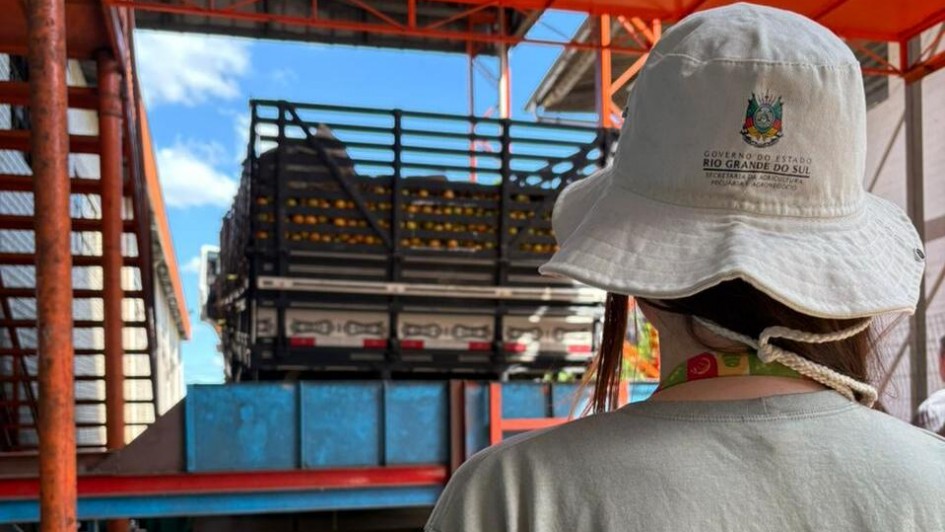 Foto mostra servidora em vistoria de cargas de frutas c&iacute;tricas