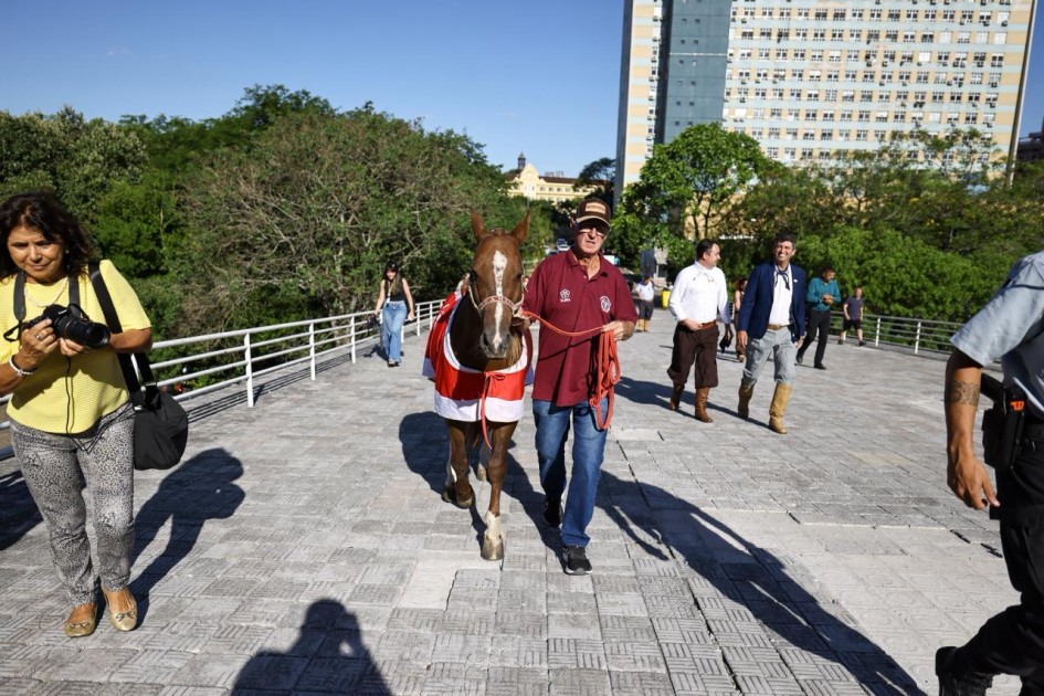 Cavalo Caramelo é símbolo de resiliência por sua luta pela sobrevivência durante a enchente no ano passado -Foto: Vitor Rosa/Secom