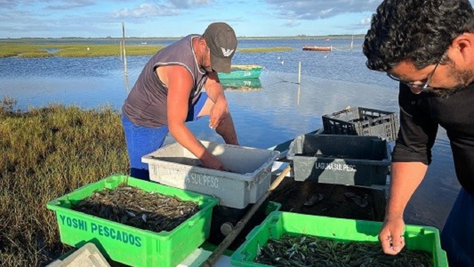 Foto mostra dois pescadores artesanais na beira de uma lagoa, mexendo em caixas de pescados.