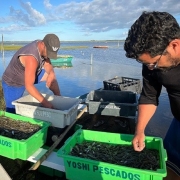Foto mostra dois pescadores artesanais na beira de uma lagoa, mexendo em caixas de pescados.