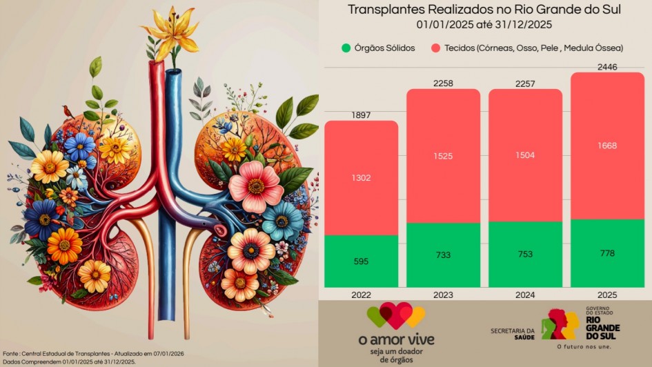 Imagem de dados quantitativos sobre transplantes