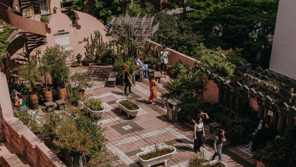Foto mostra jardim visto de posi&ccedil;&atilde;o elevada