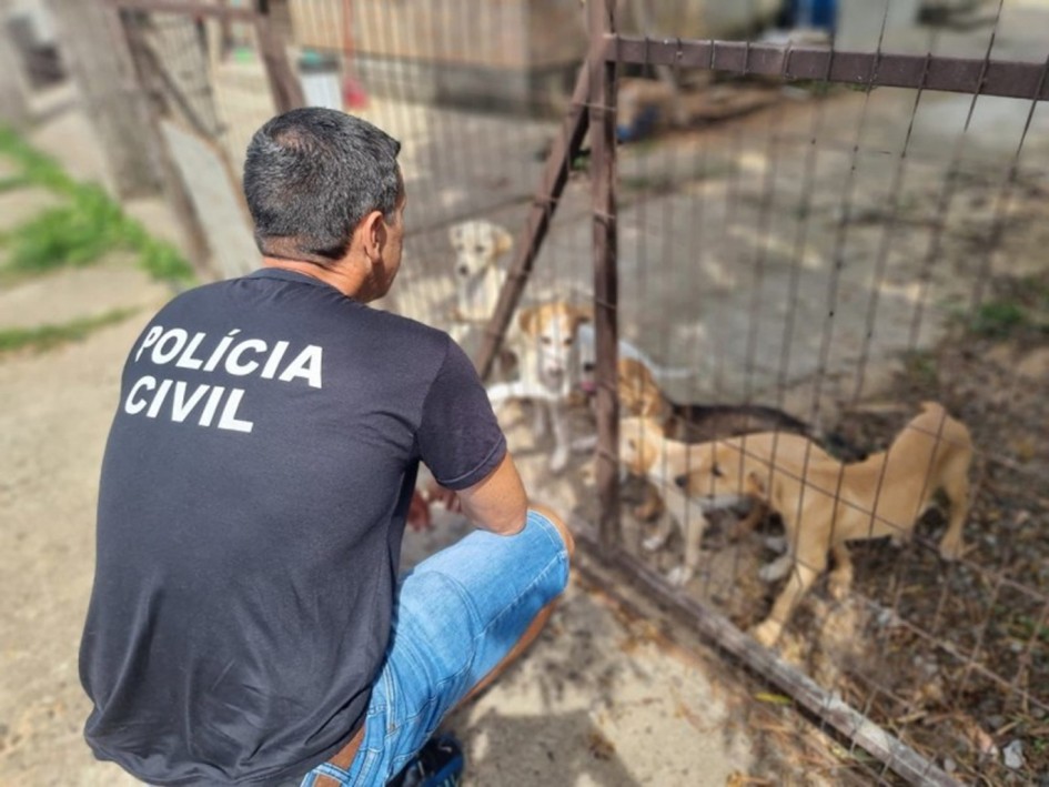 Policiais atuam em ocorrências de possíveis maus-tratos a animais na Capital e interior do Estado -Foto: Ascom Polícia Civil
